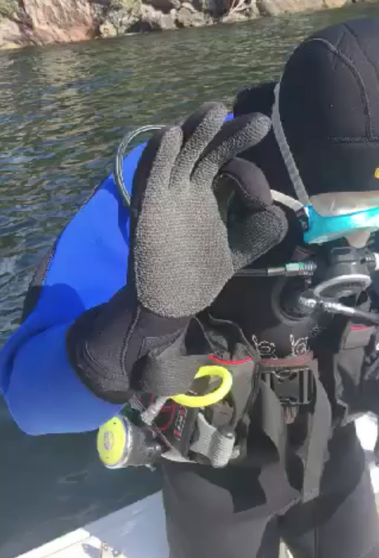 DYKKER: Doff liker seg i det våte element. Nylig tok han dykkerlappen. Foto: Privat